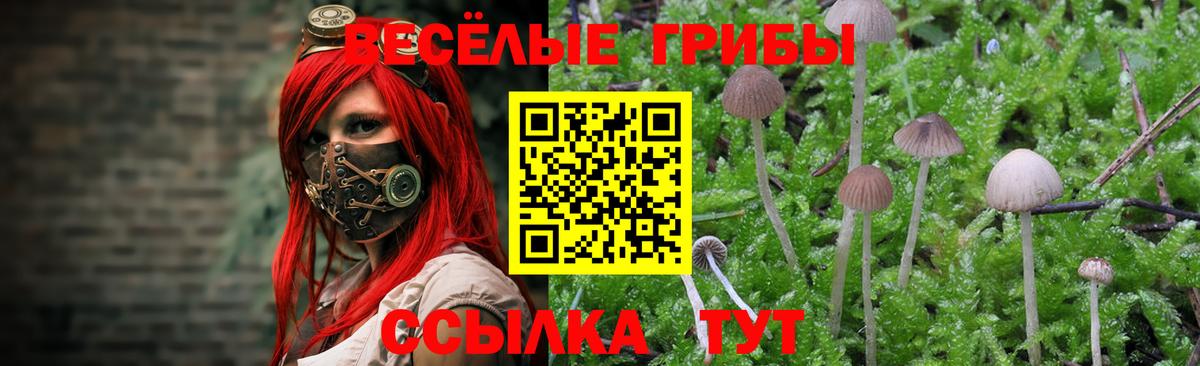 Псилоцибиновые грибы Magic Shrooms Зеленокумск